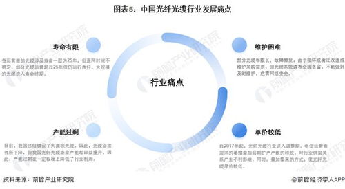2022年中国光纤光缆行业市场现状及发展趋势分析 光缆建设景气度向好